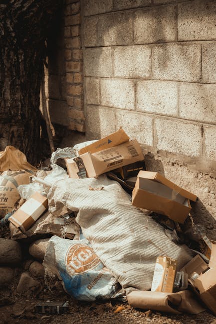 A pile of discarded cardboard boxes, some flattened and others partially intact, rest on the ground against a brick wall. The boxes vary in size, with some displaying printed labels and barcodes, indicating they once contained retail or packaging items. Interspersed among the boxes are crumpled brown paper and plastic bags, contributing to the overall cluttered appearance. The surface beneath the debris consists of dirt and small rocks, suggesting an outdoor or poor-condition area. To the left, a tree trunk is partially visible, with rough, textured bark. The brick wall behind the debris is constructed of light-colored bricks with a weathered finish, and areas of mortar are visible between them. The scene is lit with natural daylight, emphasizing the textures of the materials and creating subtle shadows among the waste. This arrangement of waste and debris exemplifies a typical private collection or site clearance scenario managed by companies like Rubbish Collection Highbury, reflecting the kind of rubbish removal services offered for local disposal or alternative waste handling outside regular municipal collection.