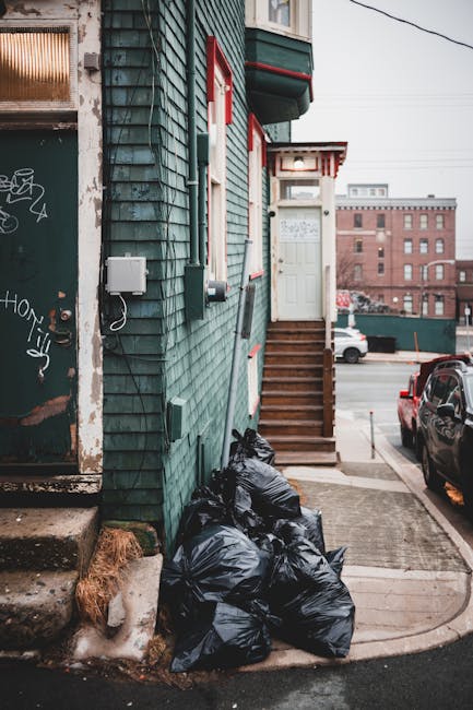 A small, green wooden building with weathered, overlapping shingles painted in a muted teal tone, situated on a pavement beside a narrow street. To the left, a worn metal door shows signs of graffiti and rust, with graffiti tags visible in white, black, and yellow spray paint. Adjacent to the building, several black plastic rubbish bags are stacked on the ground, appearing full and tied at the top. The building has a set of wooden steps leading up to a white front door with multicoloured trim, positioned in the middle of the image, with a small porch area partially visible. Behind the building, there are other structures, including a brick building in the background and parked cars along the street, indicating an urban environment. The scene is illuminated by natural daylight, casting soft shadows, and suggesting an on-site waste collection or private rubbish disposal context typical within urban settings where independent rubbish removal services, such as those offered by Rubbish Collection Highbury, may be employed to manage waste outside of local authority collection areas.
