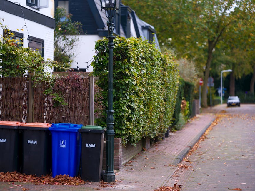 In this image, a row of four wheelie bins is positioned along the curb of a residential street, adjacent to a low brick wall supporting a dense, well-maintained hedge with green and yellow leaves. The bins are made of plastic, with three black bins, a blue bin in the middle, and a brown-topped bin, each marked with recycling or waste symbols. The bins are placed directly on the sidewalk, which is covered with fallen autumn leaves, and are clearly visible in the foreground. To the left, part of a modern white house with dark-framed windows and decorative outdoor lights hanging from a string is visible, while the background shows a street with more trees, a lamppost, and a parked car slightly out of focus. The scene depicts an everyday residential environment where waste management and rubbish collection, possibly through private services like those offered by Rubbish Collection Highbury, take place, with the street lined with foliage suitable for autumn. The overall lighting is natural and subdued, contributing to a calm, neutral atmosphere that reflects standard waste disposal routines in an urban UK setting.